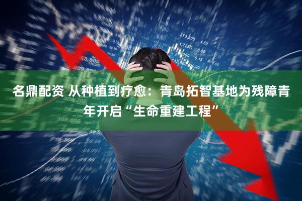 名鼎配资 从种植到疗愈：青岛拓智基地为残障青年开启“生命重建工程”