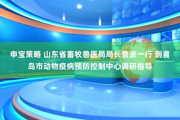 申宝策略 山东省畜牧兽医局局长鲁波一行 到青岛市动物疫病预防控制中心调研指导