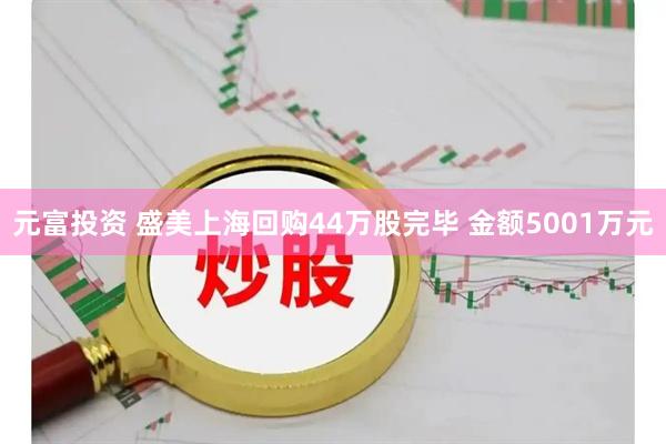 元富投资 盛美上海回购44万股完毕 金额5001万元