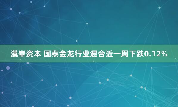 漢崋资本 国泰金龙行业混合近一周下跌0.12%